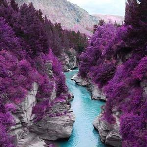 Meet your Posher, Suzanne